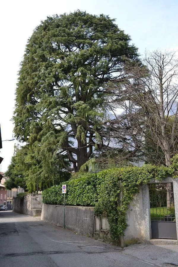 Villa Casa del Cedro - Cedar House Lecco Casa vacanze